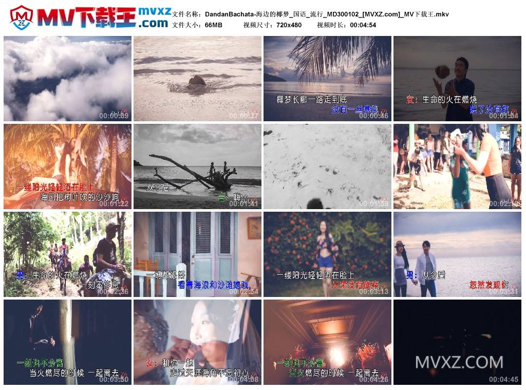 DandanBachata-海边的椰梦_国语_流行_MD300102
